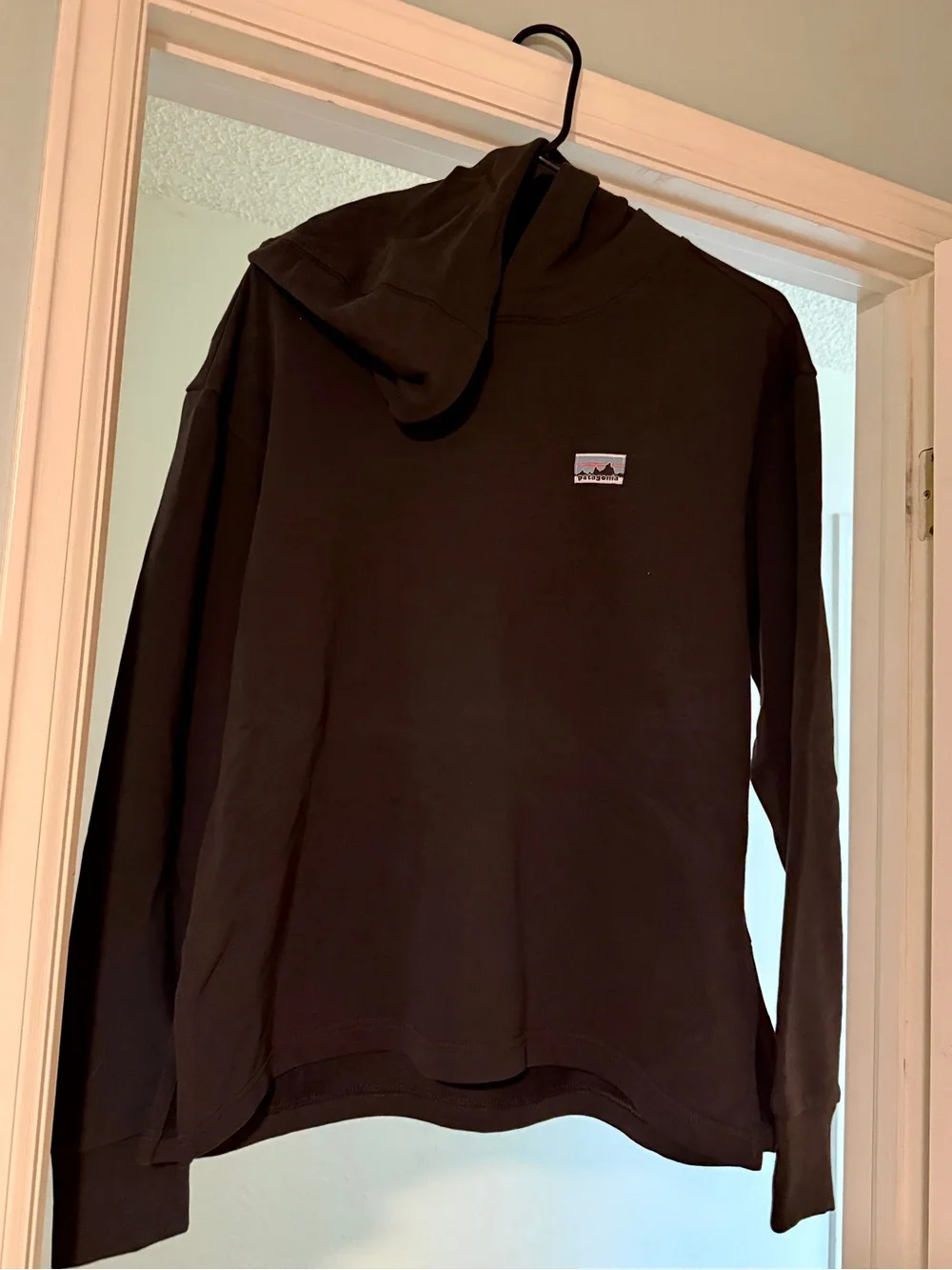 Patagonia Women's Regenerative Organic Certified™ Cotton Essential Hoody - Sz Lg - Picture 2 of 5
